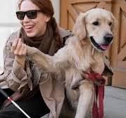 Мера социальной поддержки для инвалидов по зрению, имеющих собаку-проводника